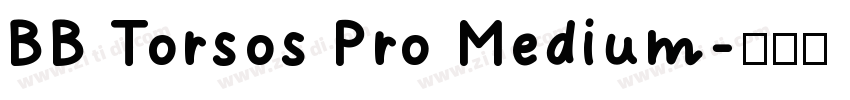 BB Torsos Pro Medium字体转换
